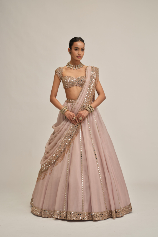 ASH PINK MIRROR LINEAR EMBROIDERED LEHENGA SET